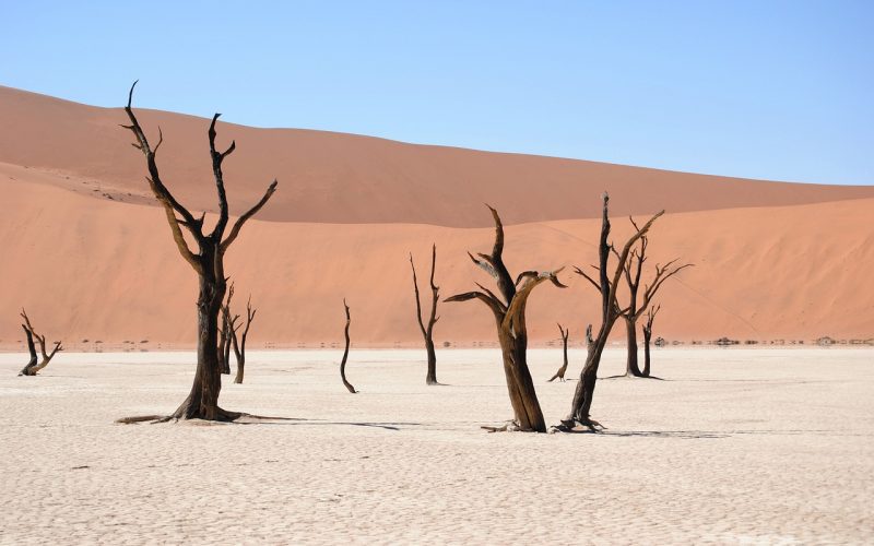 dead vlei 2042750 1280