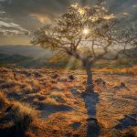 Garden Route i Sydafrika - En Introduktion